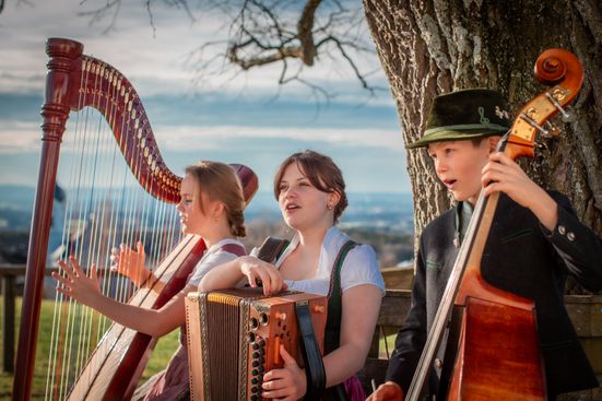 Strasser Musi (c) Anna MAria Strasser