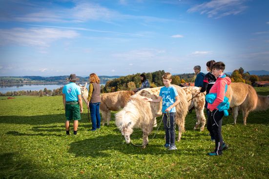 Genusswanderung mit Lamas