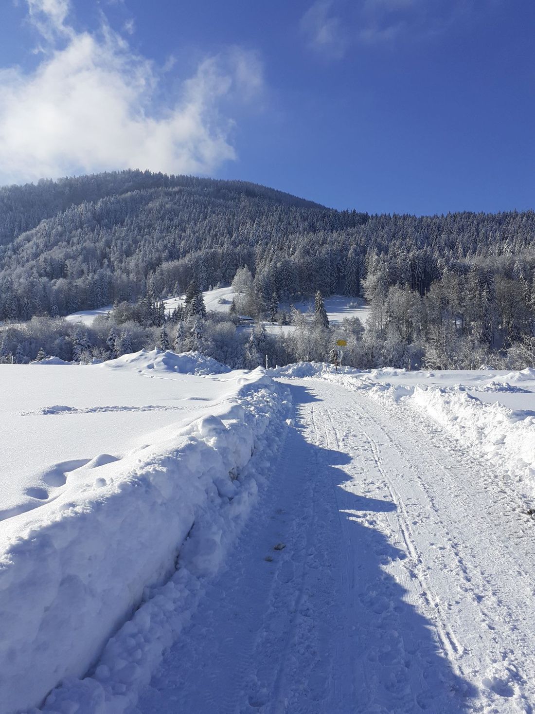 Hörgering hinter dem Haus