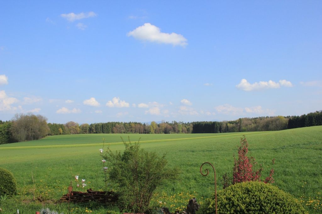 tolle Landschaft
