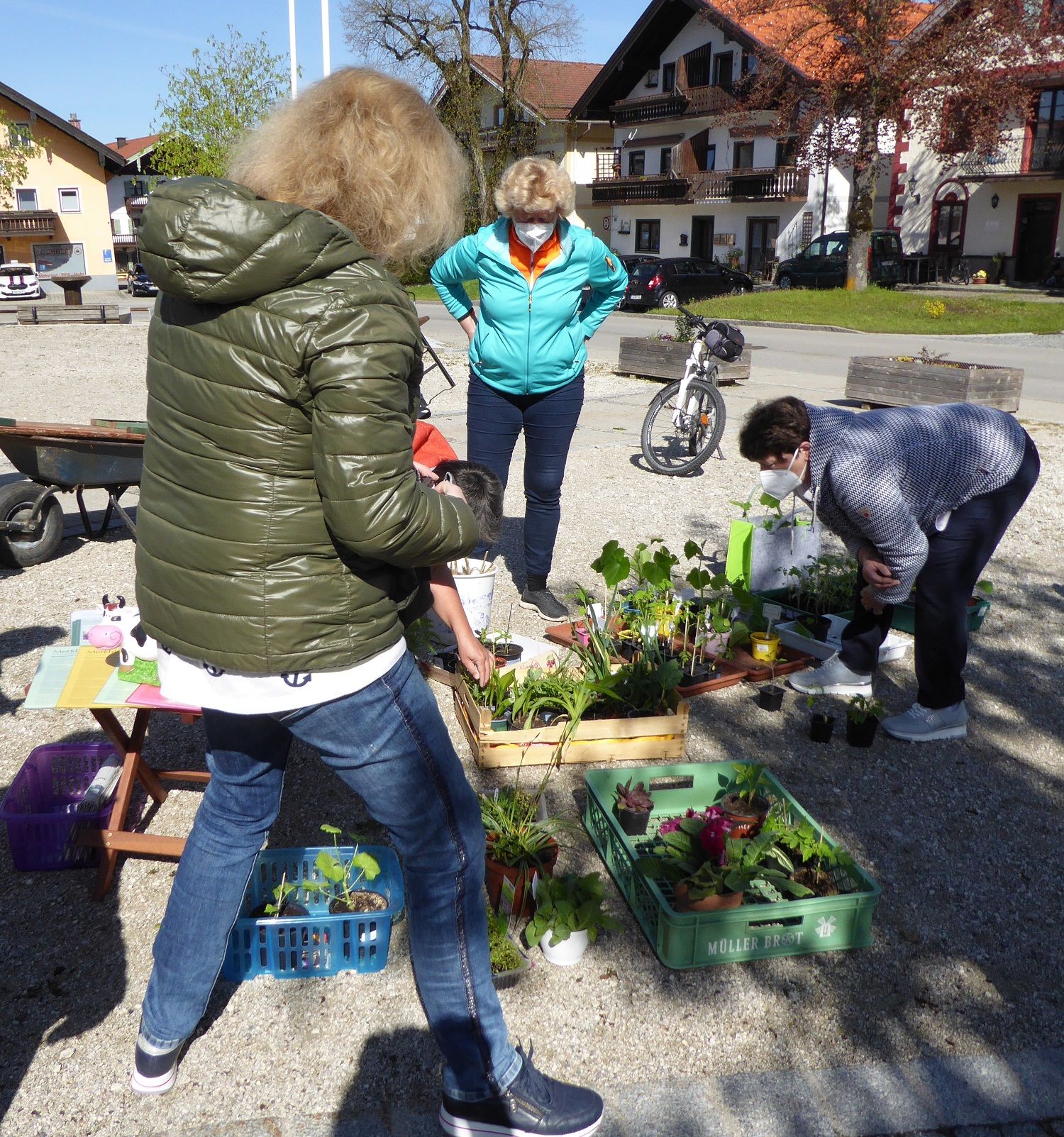 Pflanzentausch Frühjahr 2021 Copyright Gartenbauverein Grbst (1)