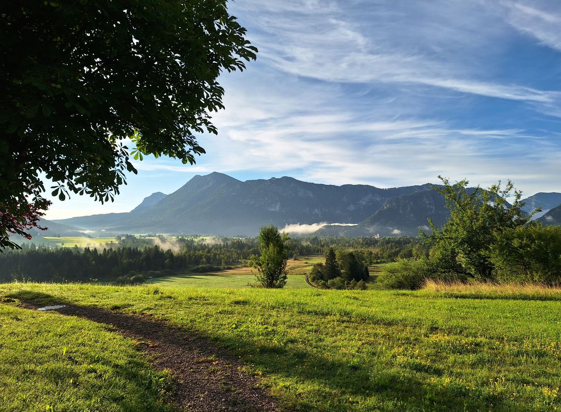 Blick auf das Hochmoor