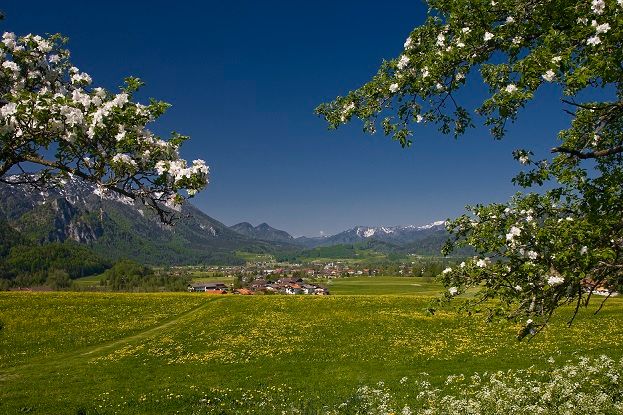 inzell frühling panorama 02