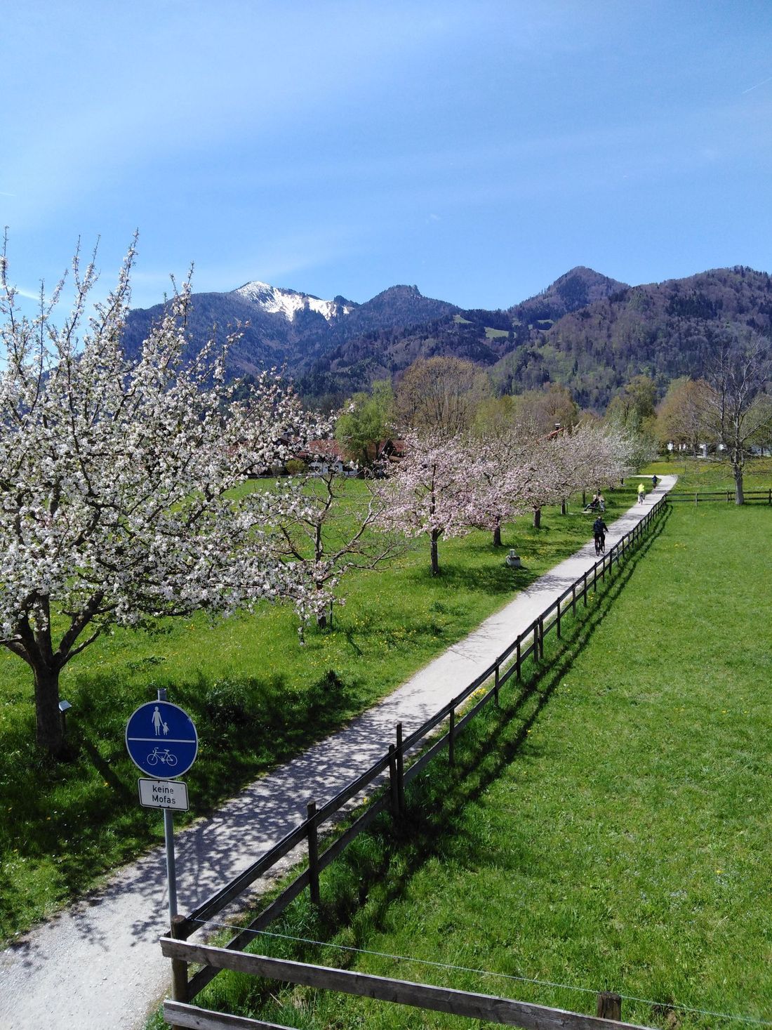 Ausblick Obstlehrpfad