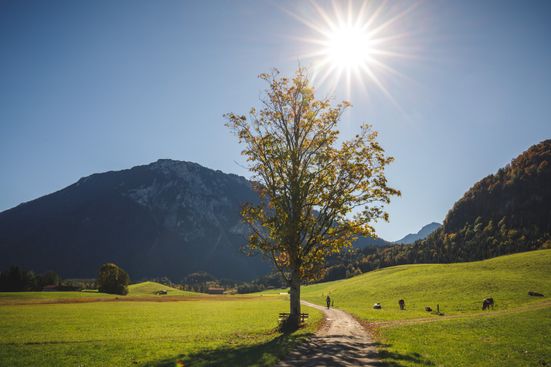 Blick auf den Rauschberg