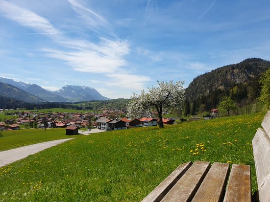 Pötschbichl im Frühling