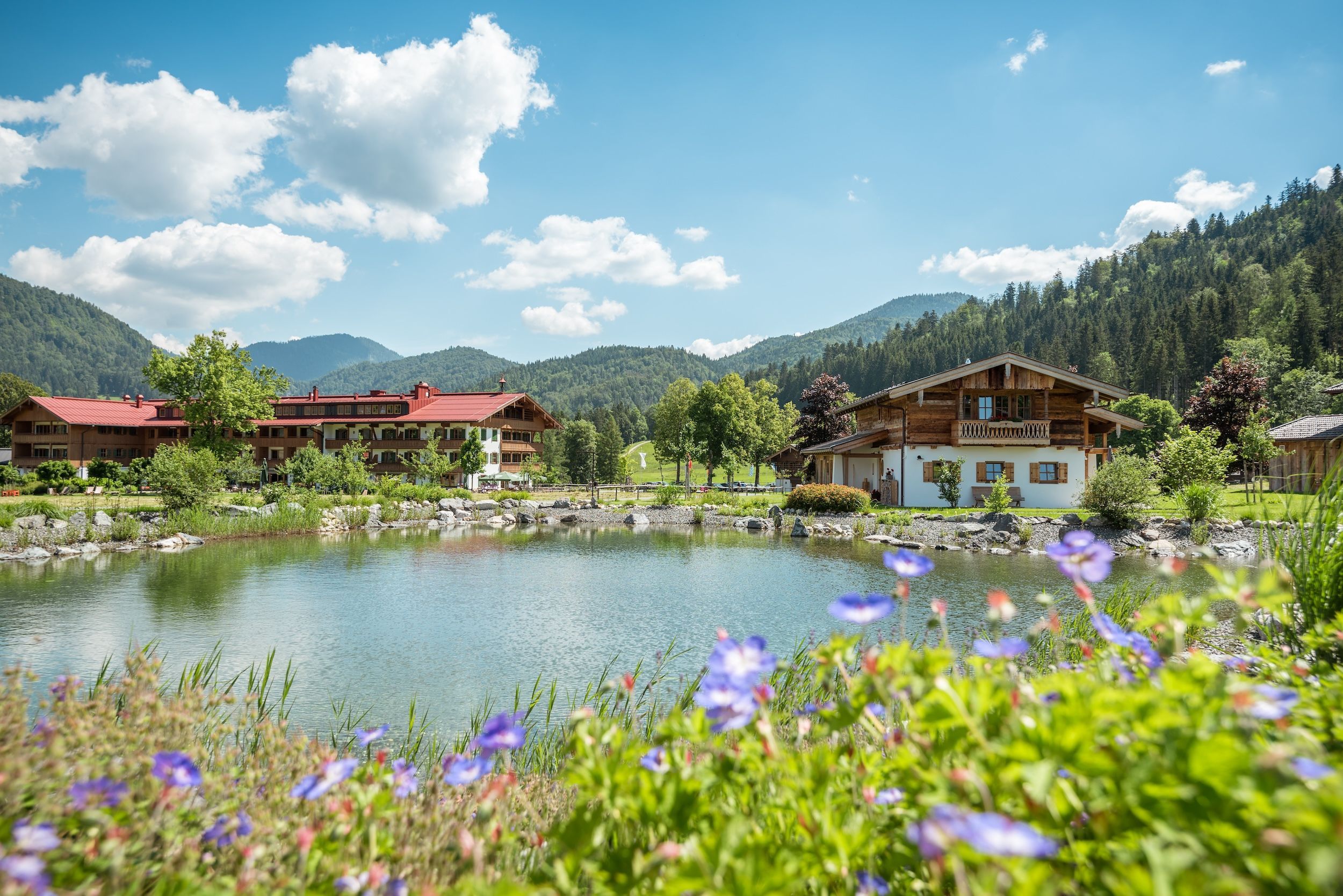 Sommer auf Gut Steinbach