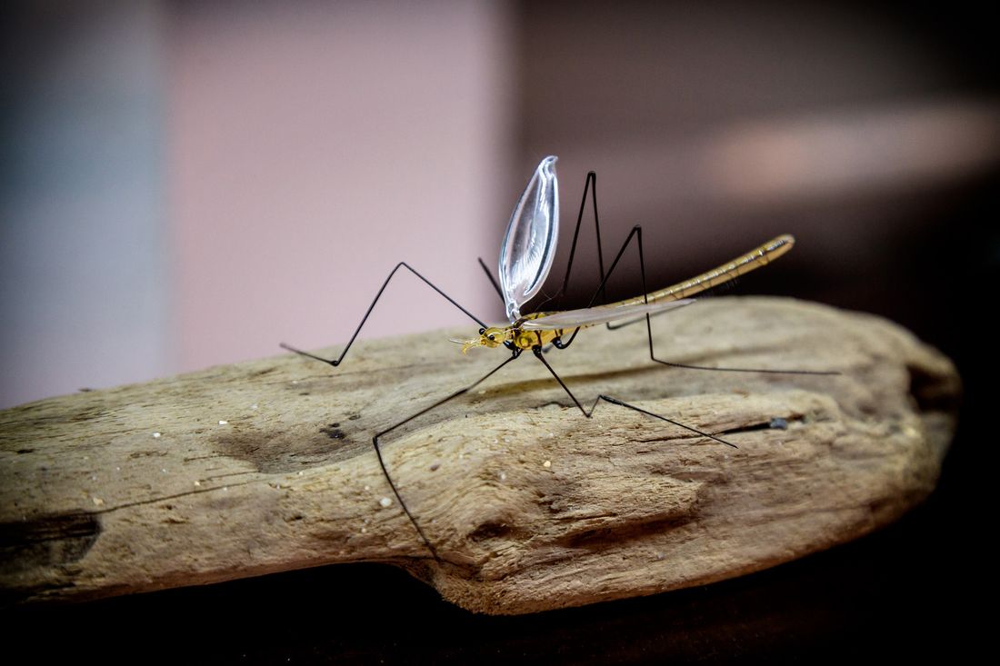 Libelle aus Glas