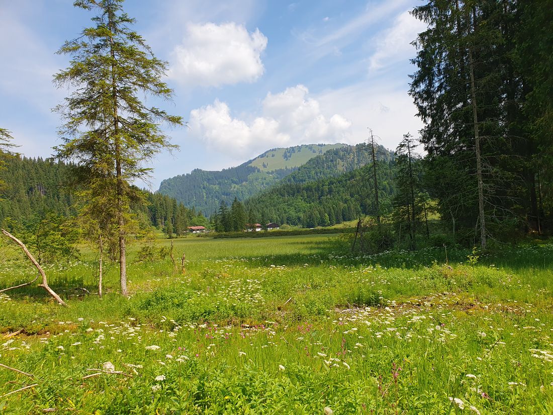 Röthelmoos Almgebiet Plafinger
