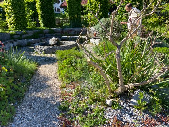 Römergarten in Bedaium (60)