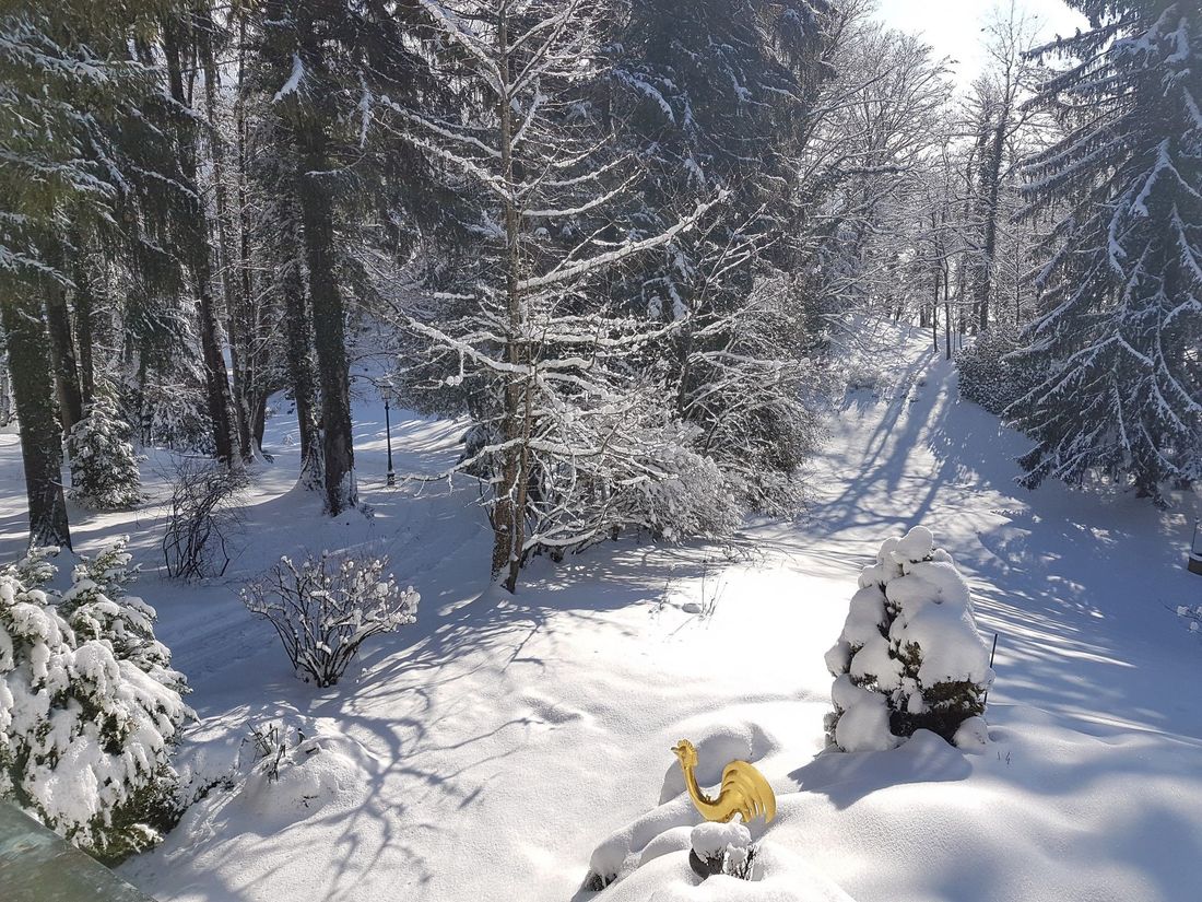 Villa Sawallisch Winter