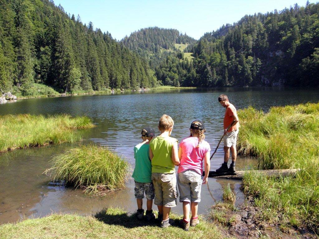 Taubensee