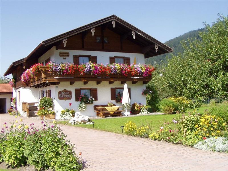 house view in summer