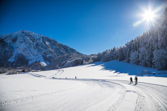 NQ8A8360_Madshus Loipe_Andreas Plenk (6).jpg