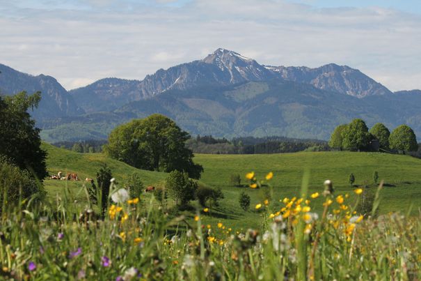 Aussicht Erlstätt