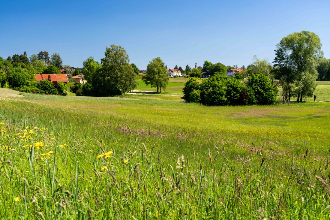 Blick nach Breitbrunn
