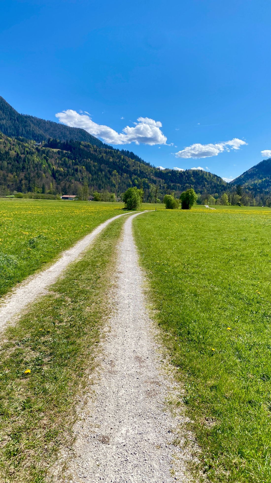 Rad- & Wanderweg