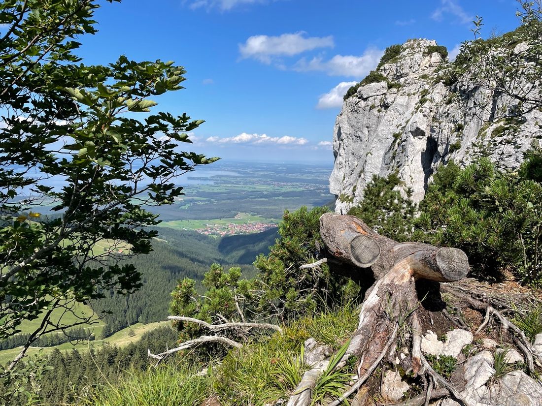 Blick auf Rottau und Übersee, Gedererwand