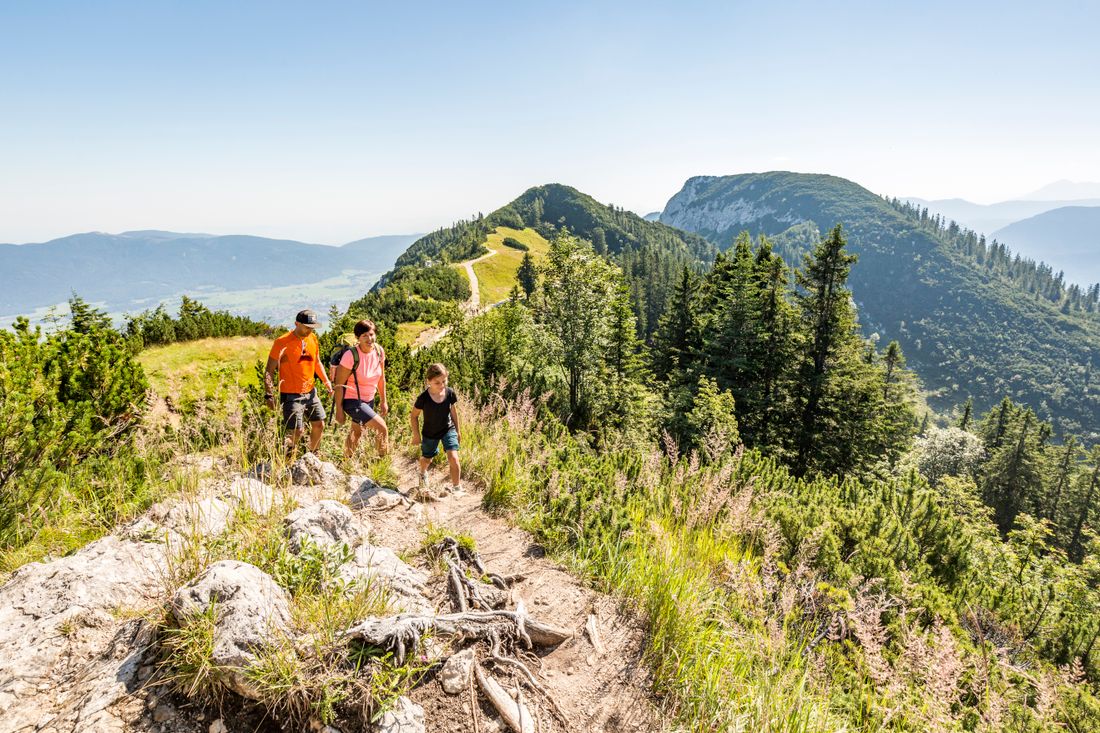 Family with a boy hikes on the Rauschberg in Ruhpolding
