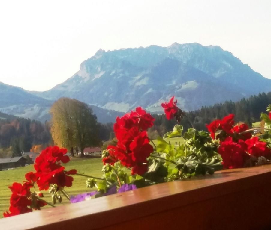 Blick vom Balkon