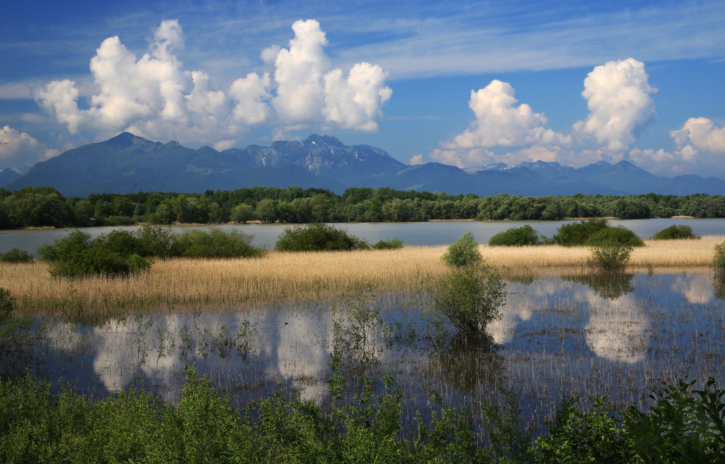 Hirschauer Bucht