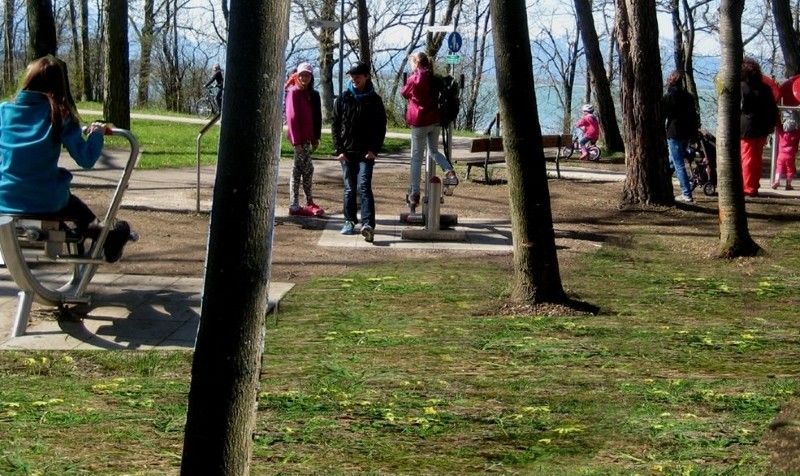 Trimmgeräte am Kiefernwäldchen