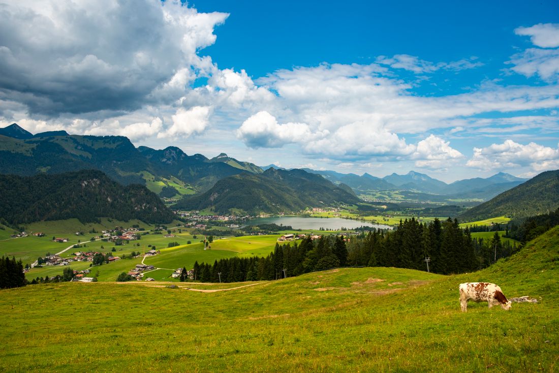 Walchsee
