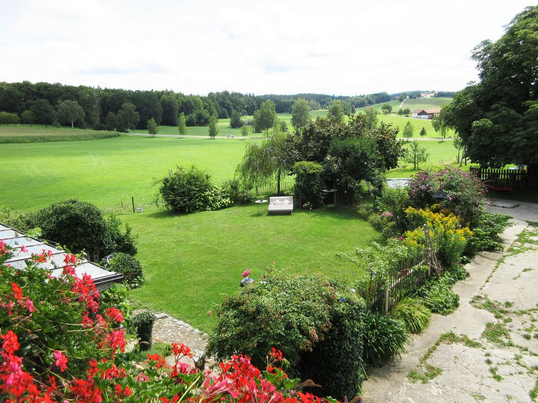 Blick in den Garten