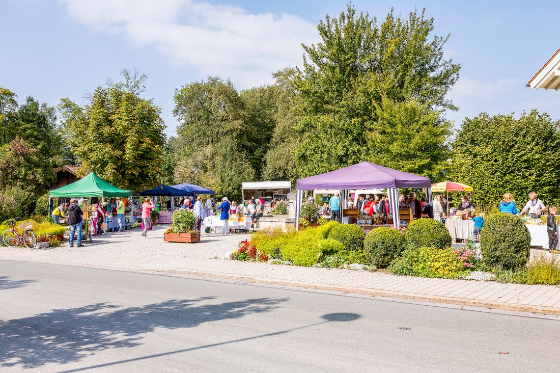 dorfmarkt-2017_bild-1671a_wolga_medres