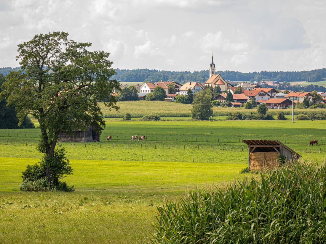 Blick auf Tettenhausen