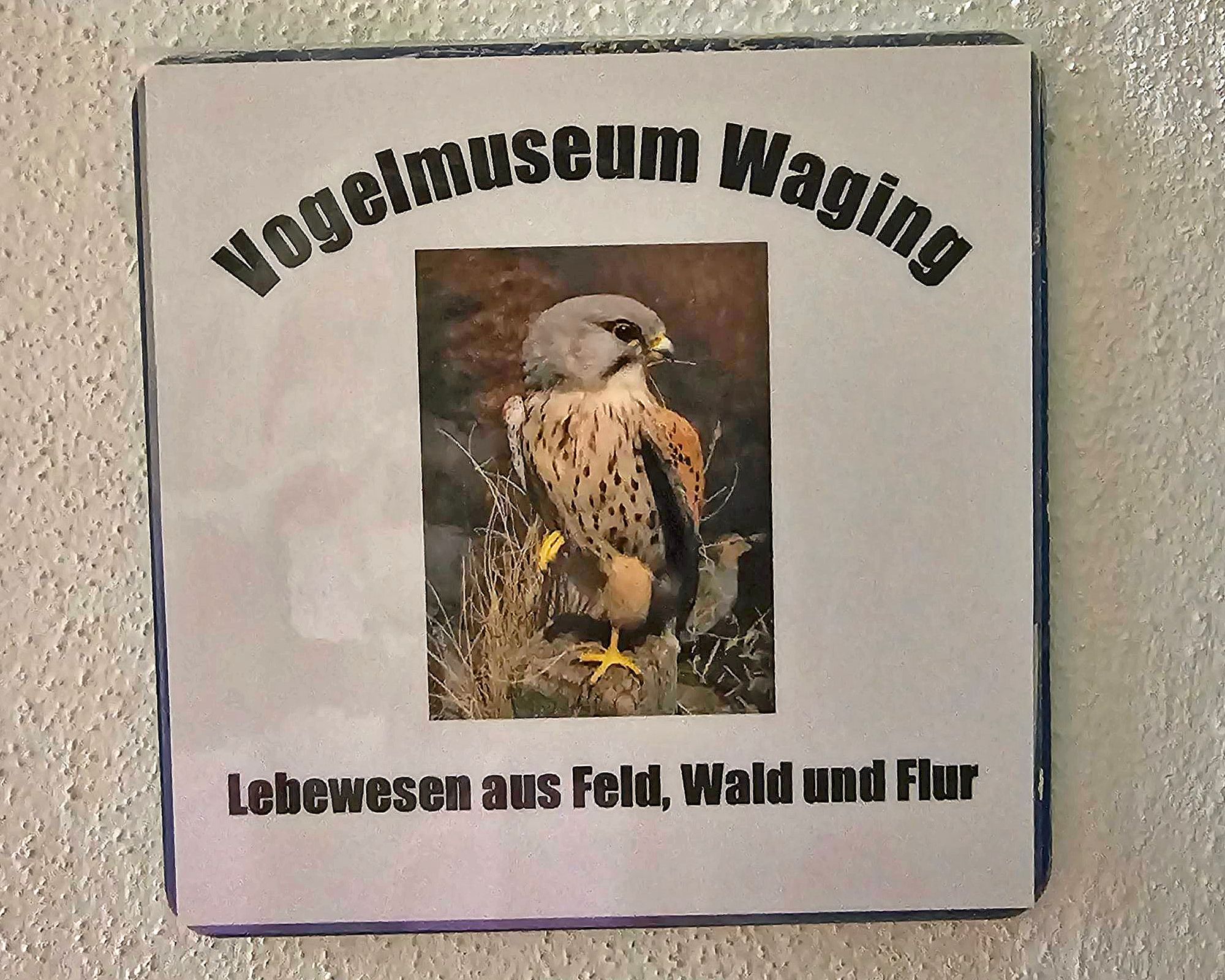 Vogelmuseum-1