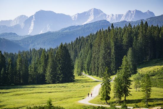 Winklmoos - Alm in Richtung Muckklause