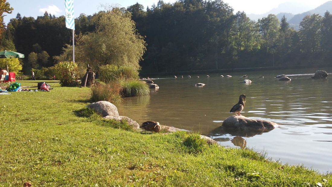 Schwimmen im Wössener See