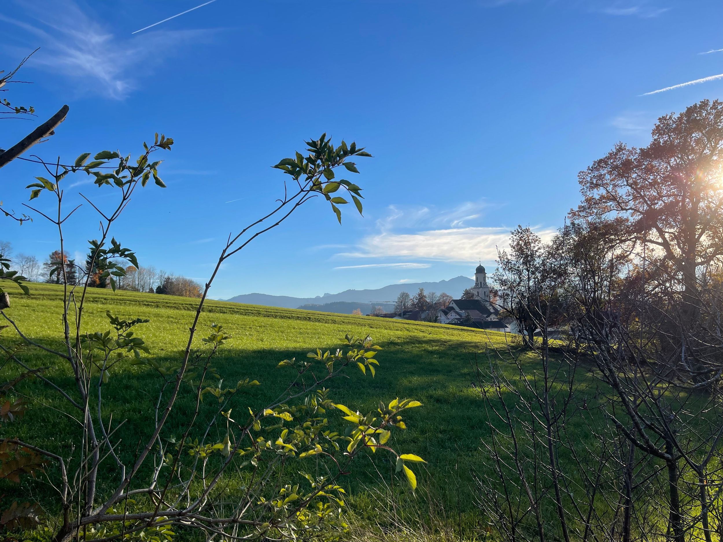 Blick vom Garten
