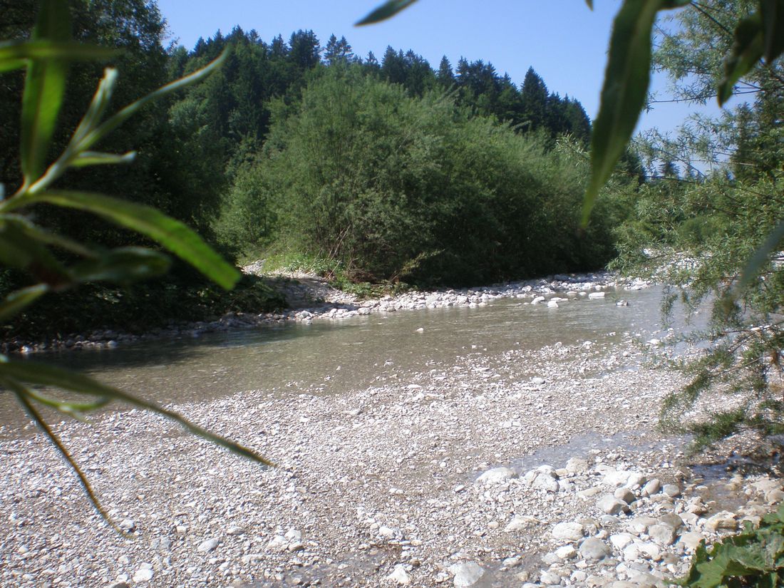Loferau