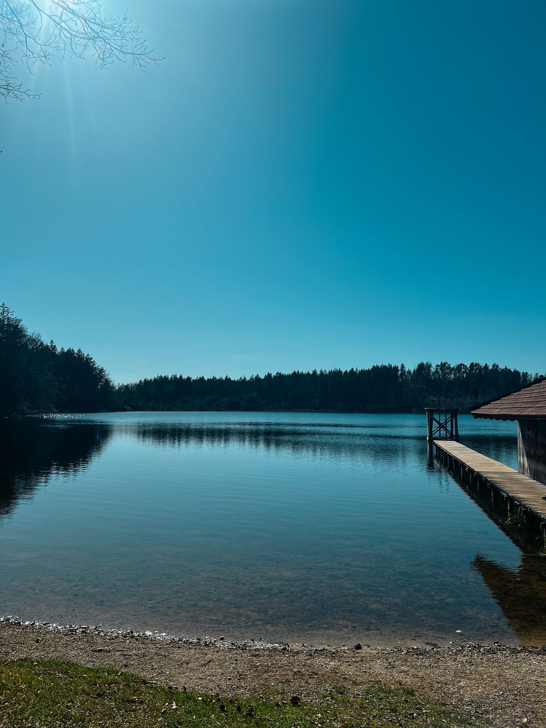 Griessee