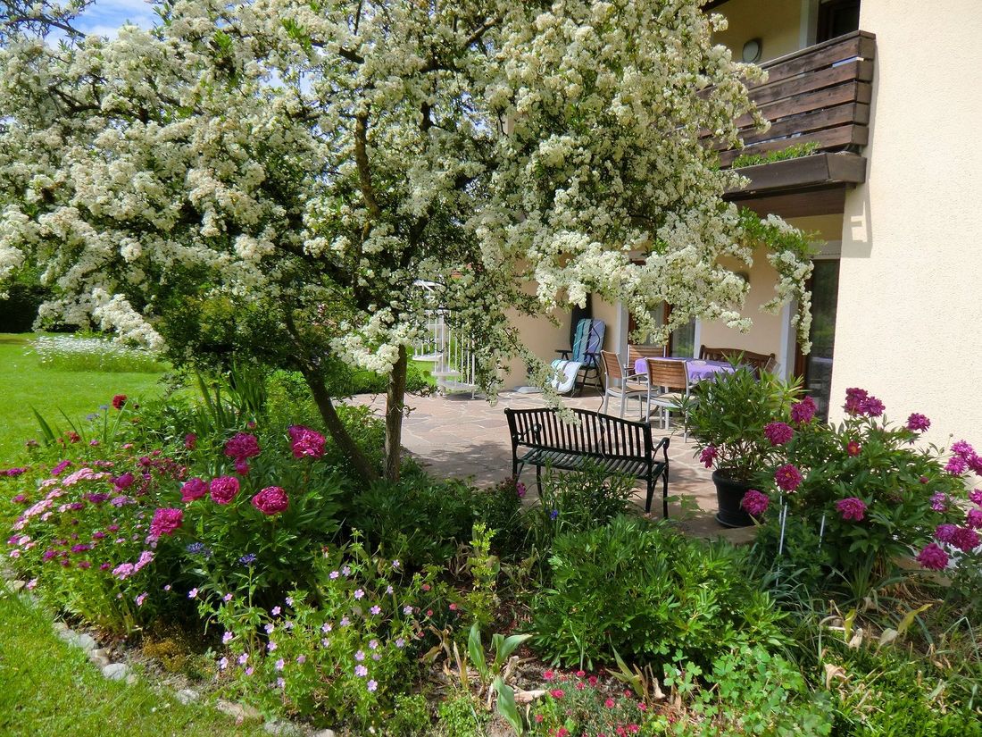 Terrasse Sommer
