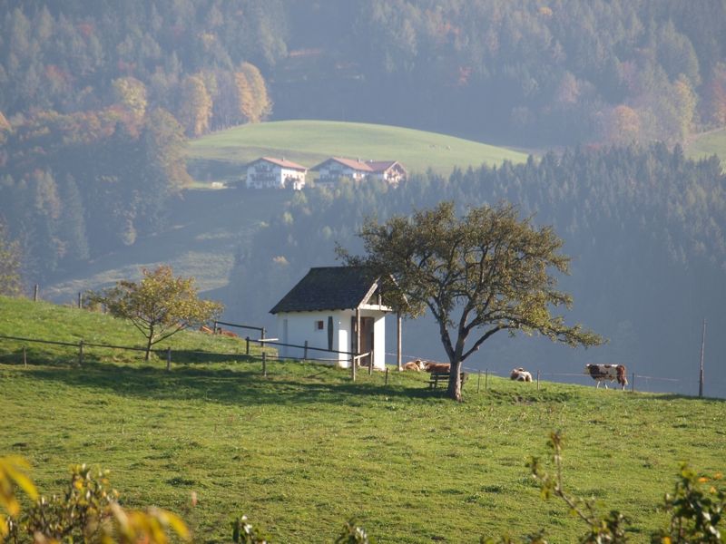 Genießen Sie die schöne Ruhpoldinger Natur von unserem Haus aus