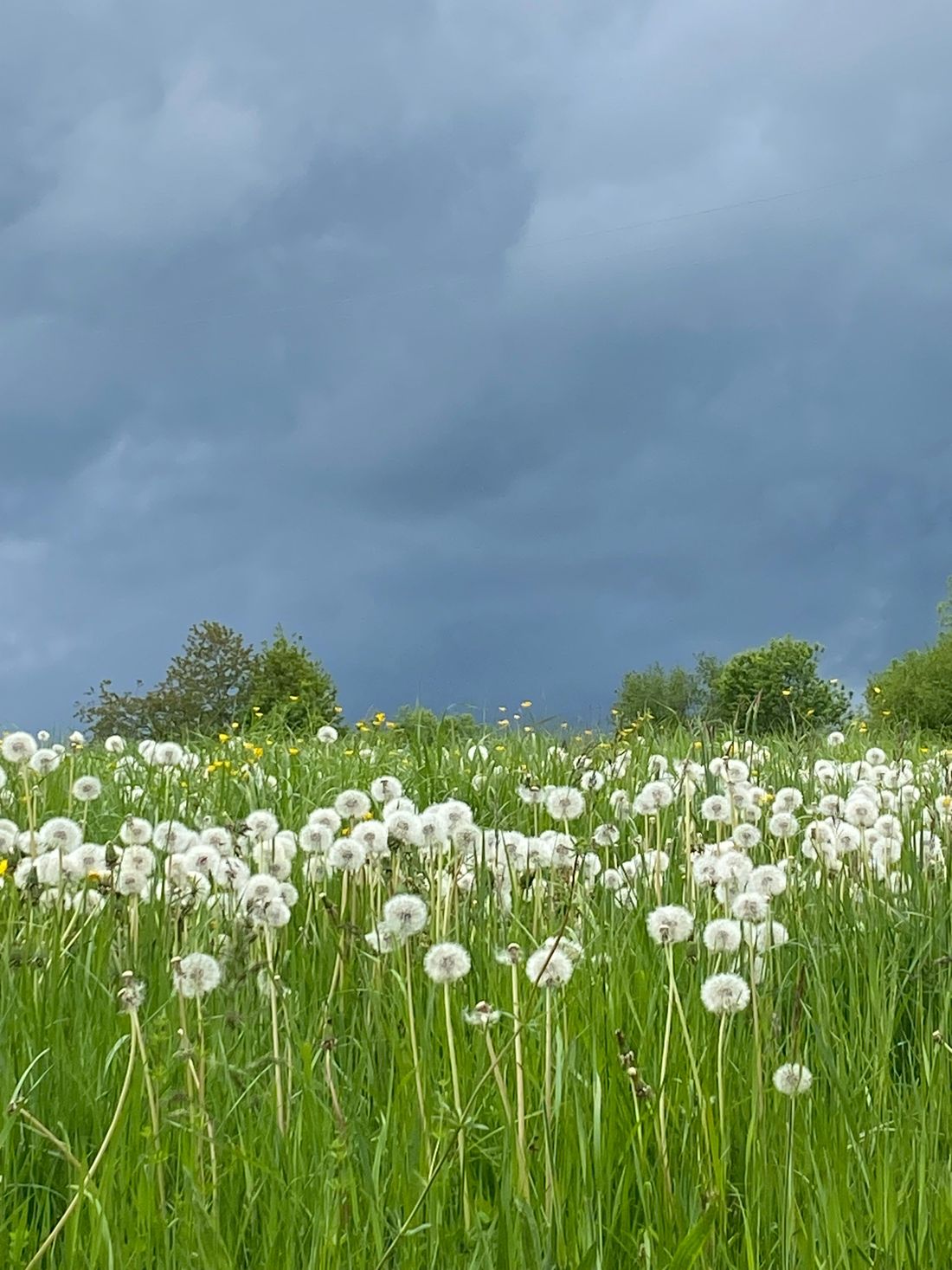 wenn ein Gewitter kommt