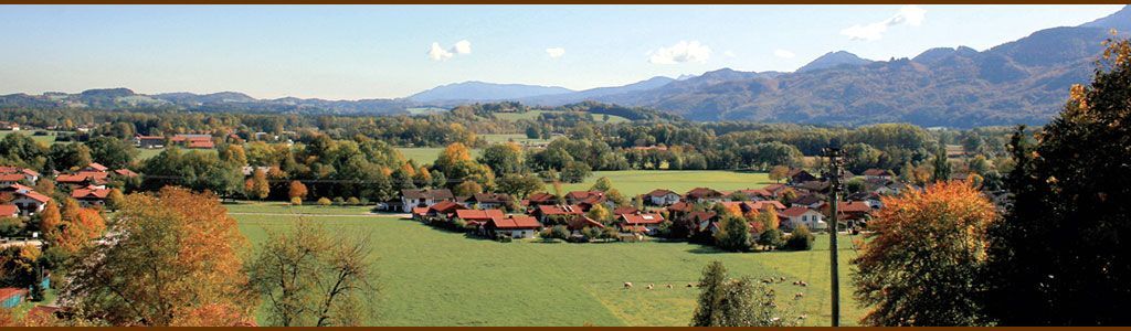 Banner Ausblick