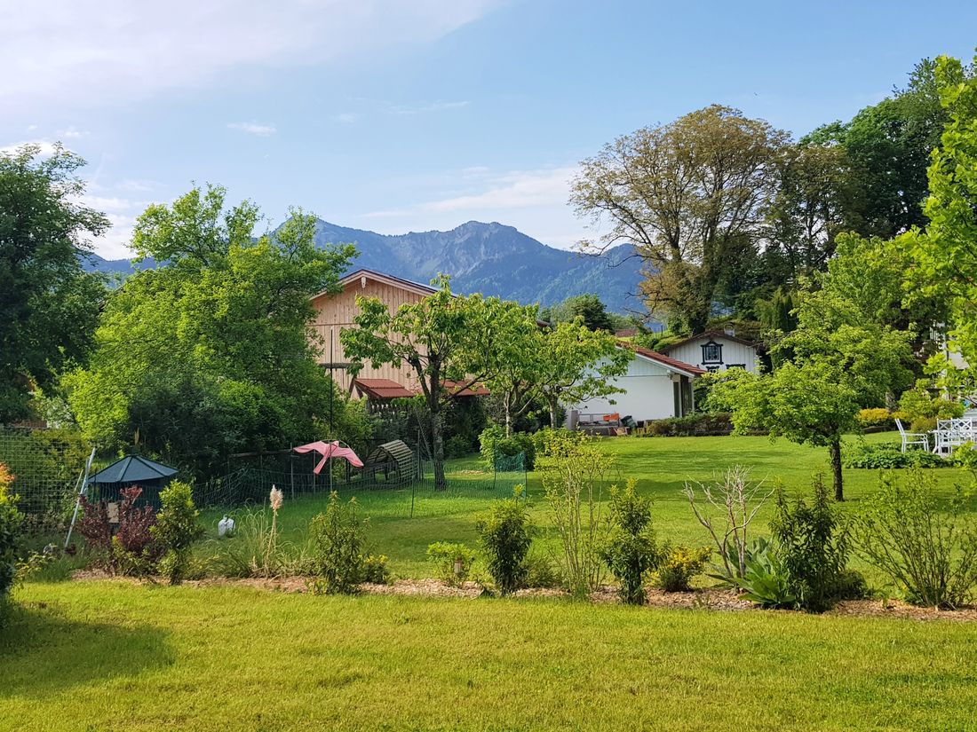 Bergblick mit Wiese und Hühnergehege