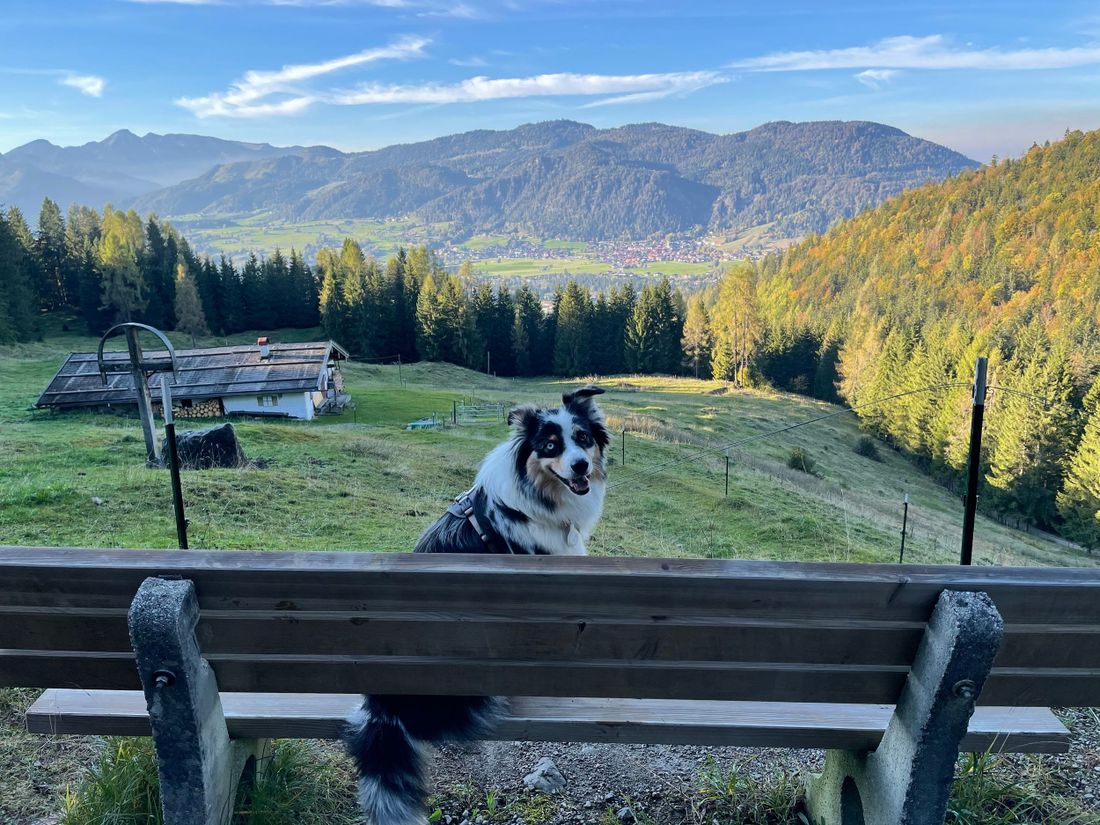 Blick auf Reit im Winkl