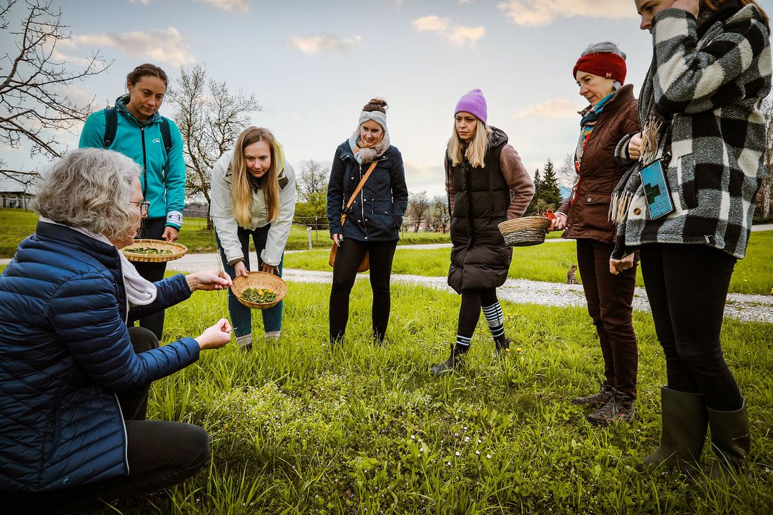 Wildkräuterwanderung