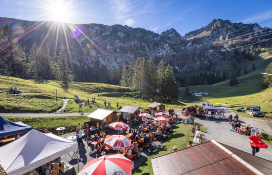 Martinimarkt Hochfelln