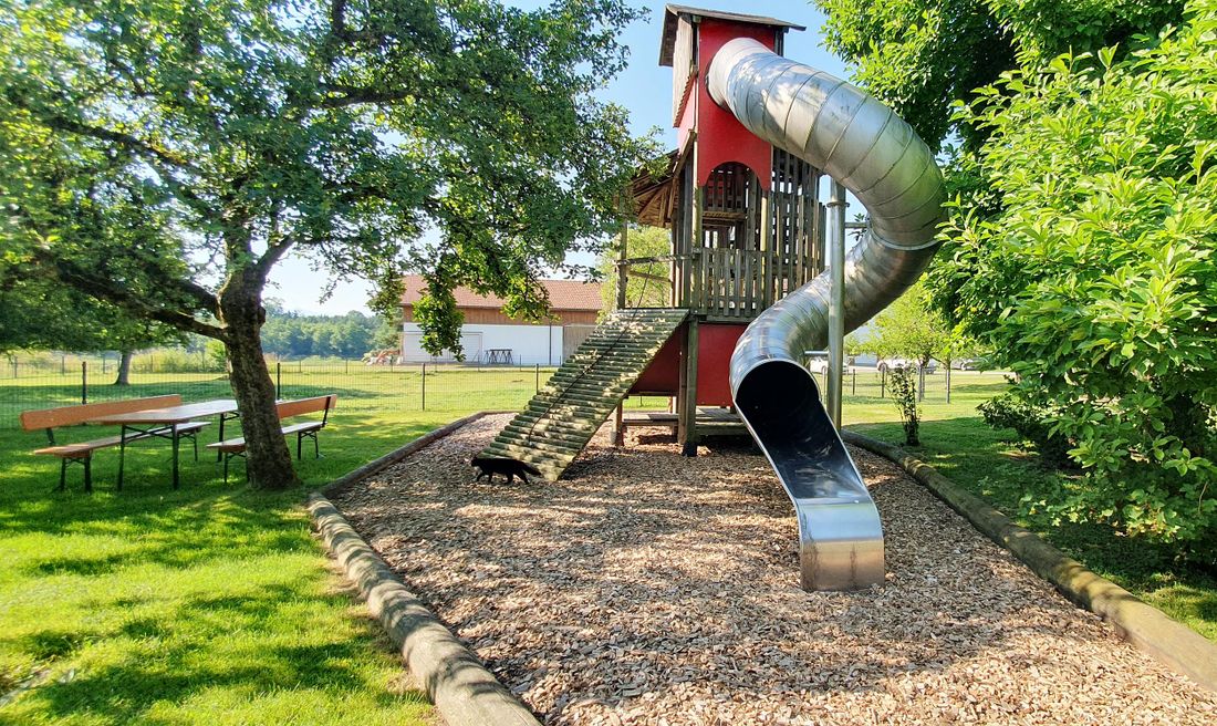 perfekt für die Kids