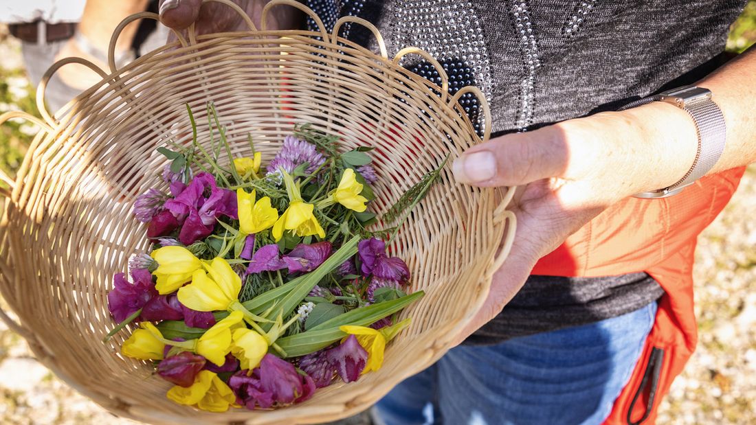 Kräuterwanderung mit Gabi Fietz-Bohleber