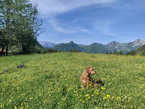 Wandern