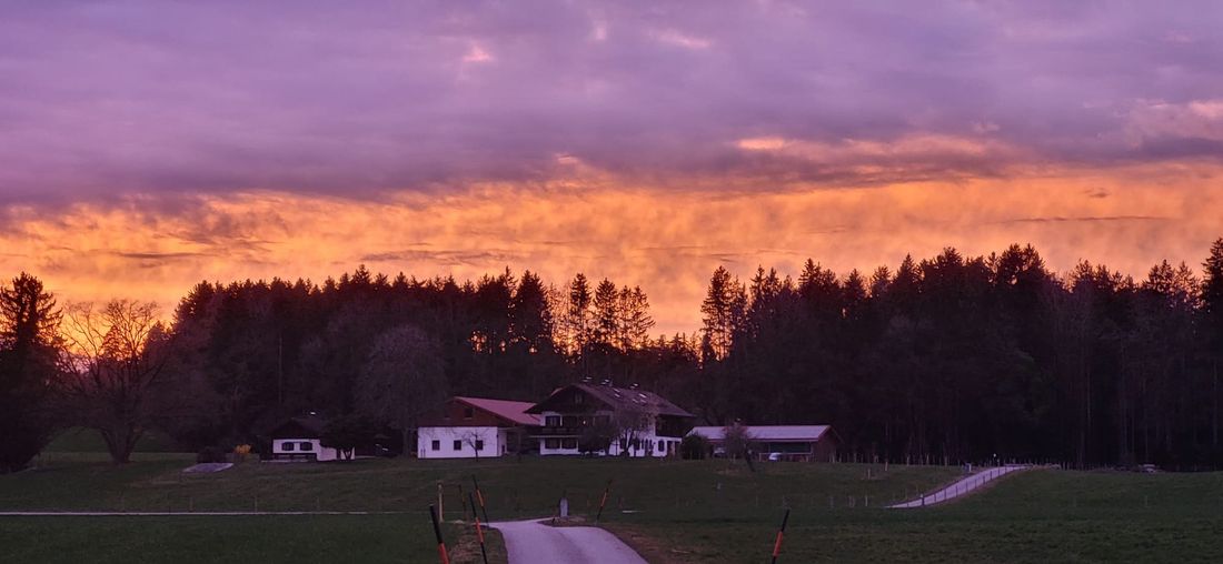 Impression im Frühling