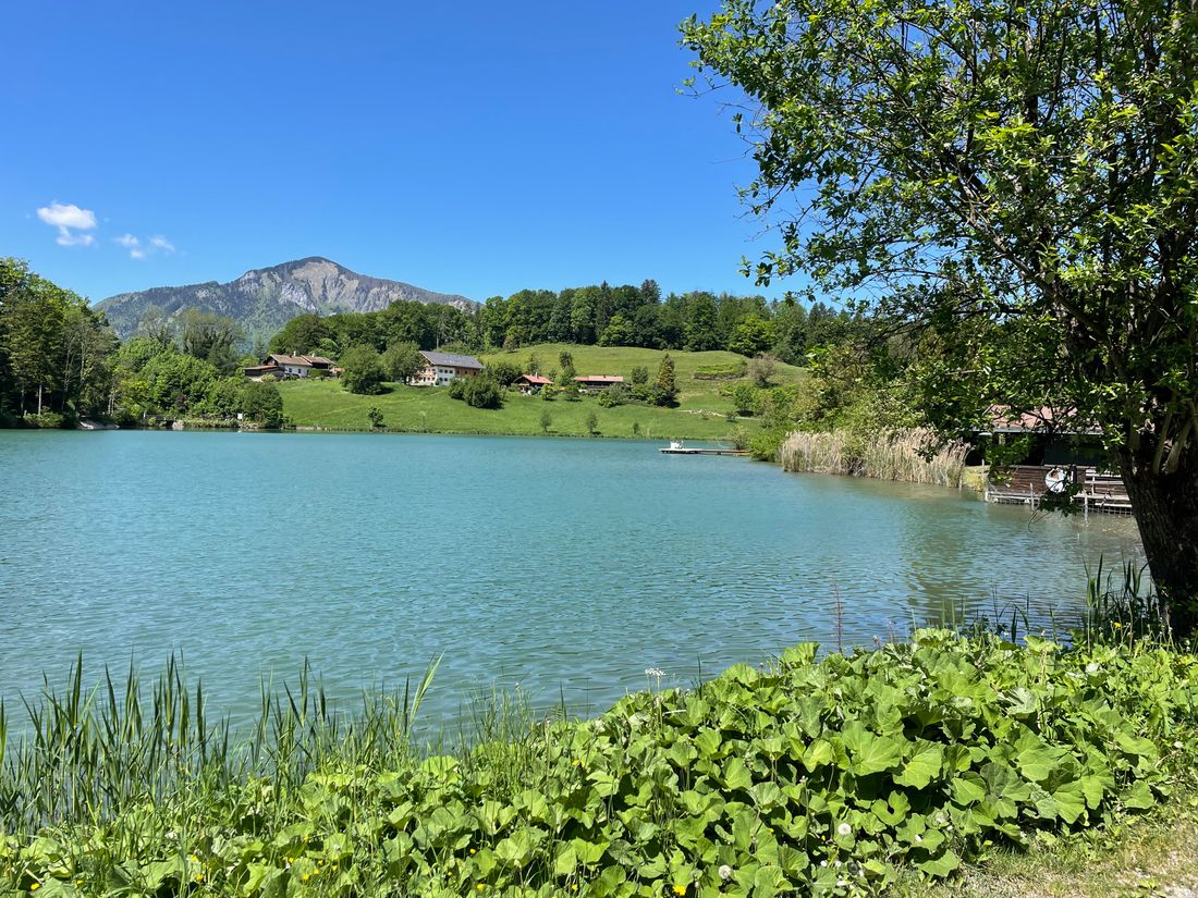 Wössner See inkl. Seewirtschaft (6 Min mit Auto)