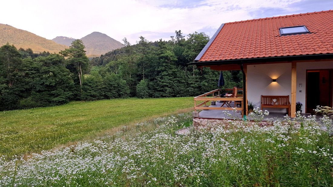 Rundum Natur pur